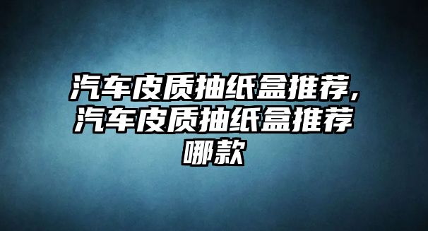 汽車皮質(zhì)抽紙盒推薦,汽車皮質(zhì)抽紙盒推薦哪款