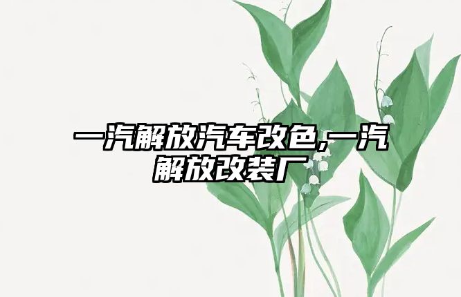 一汽解放汽車改色,一汽解放改裝廠