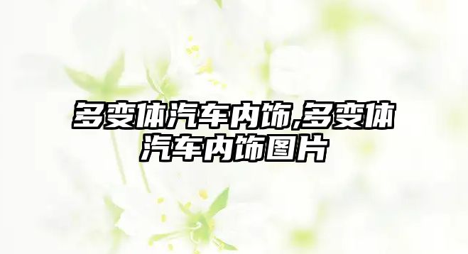 多變體汽車內(nèi)飾,多變體汽車內(nèi)飾圖片