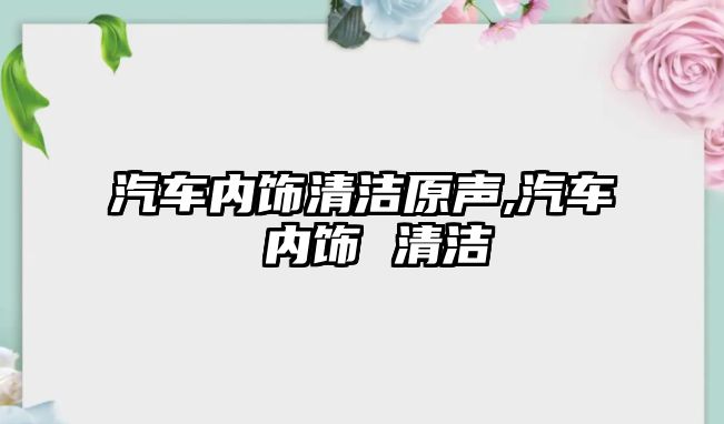 汽車內(nèi)飾清潔原聲,汽車 內(nèi)飾 清潔