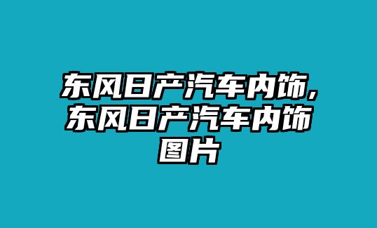 東風日產(chǎn)汽車內(nèi)飾,東風日產(chǎn)汽車內(nèi)飾圖片