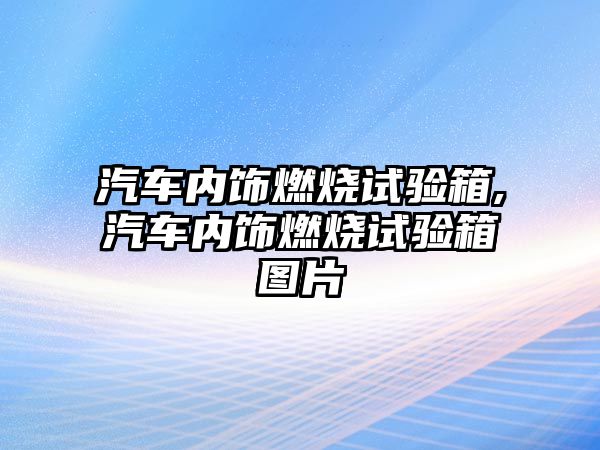 汽車內(nèi)飾燃燒試驗箱,汽車內(nèi)飾燃燒試驗箱圖片