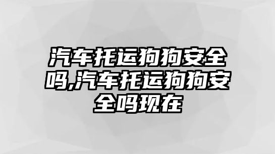 汽車托運狗狗安全嗎,汽車托運狗狗安全嗎現(xiàn)在