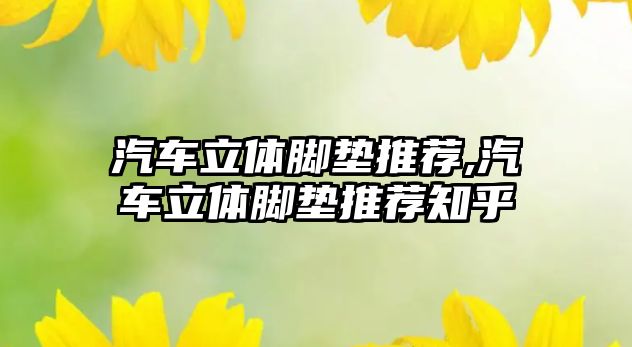 汽車立體腳墊推薦,汽車立體腳墊推薦知乎