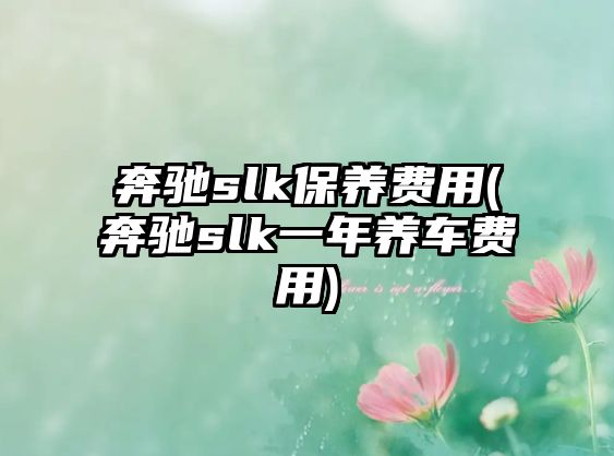 奔馳slk保養(yǎng)費(fèi)用(奔馳slk一年養(yǎng)車費(fèi)用)