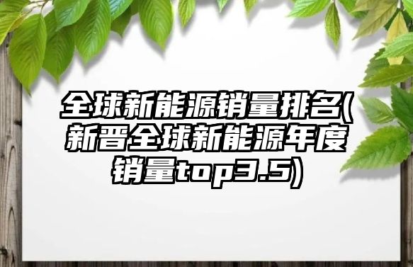 全球新能源銷量排名(新晉全球新能源年度銷量top3.5)