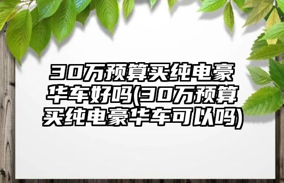 30萬預(yù)算買純電豪華車好嗎(30萬預(yù)算買純電豪華車可以嗎)