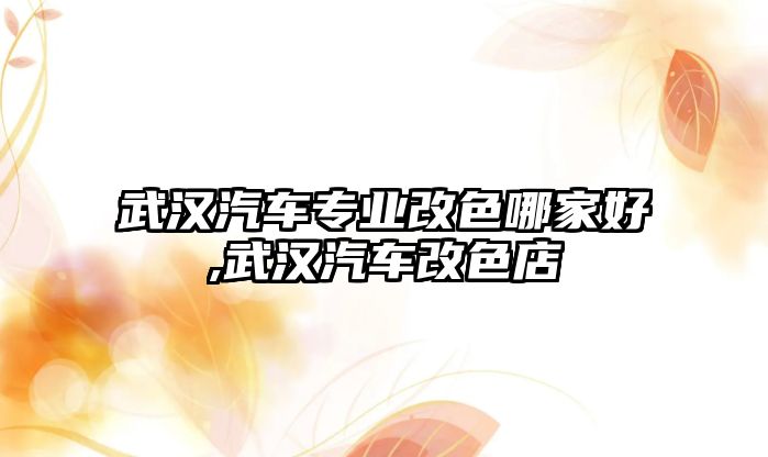 武漢汽車專業(yè)改色哪家好,武漢汽車改色店