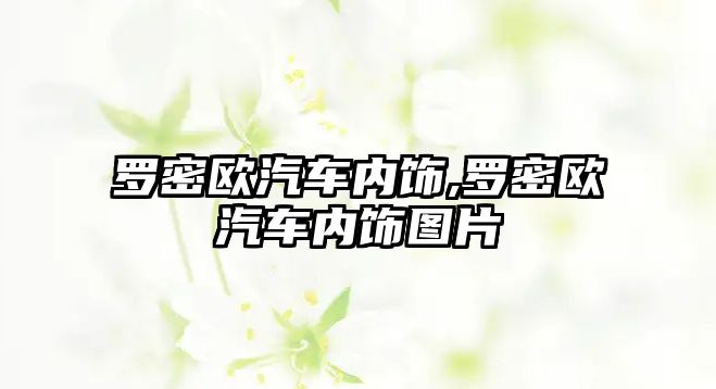 羅密歐汽車內(nèi)飾,羅密歐汽車內(nèi)飾圖片