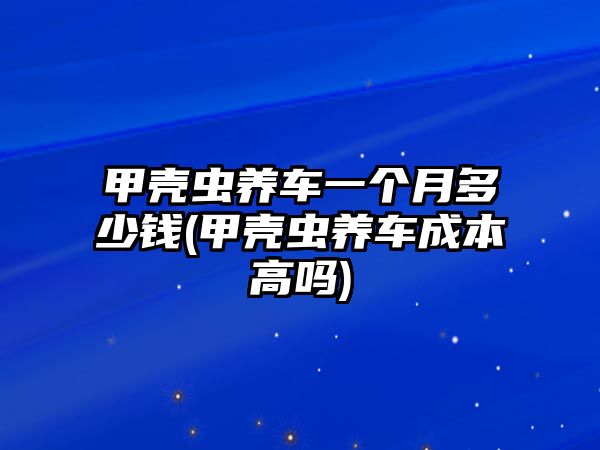 甲殼蟲養(yǎng)車一個月多少錢(甲殼蟲養(yǎng)車成本高嗎)