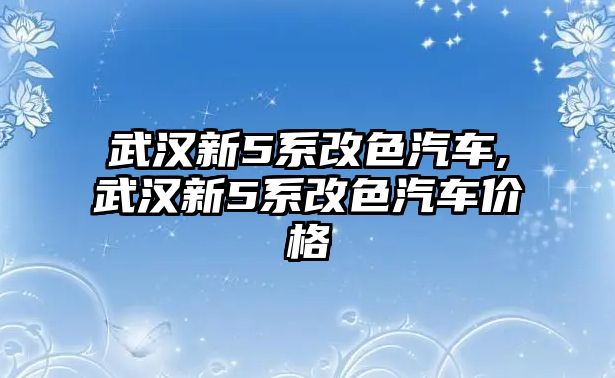 武漢新5系改色汽車,武漢新5系改色汽車價格