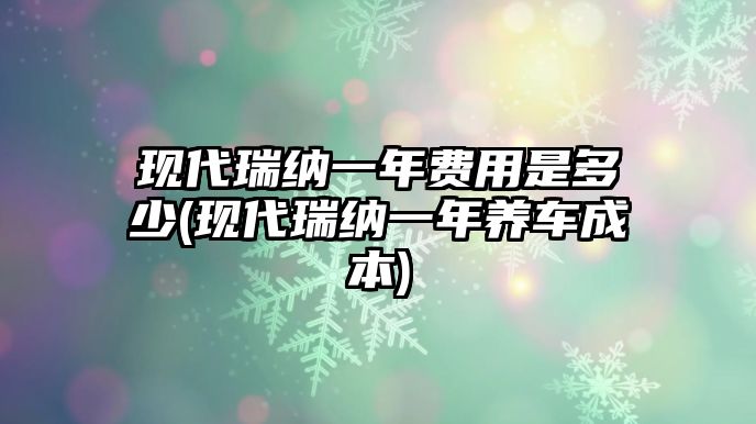 現(xiàn)代瑞納一年費用是多少(現(xiàn)代瑞納一年養(yǎng)車成本)