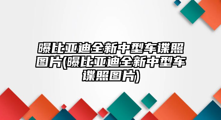 曝比亞迪全新中型車諜照圖片(曝比亞迪全新中型車諜照圖片)