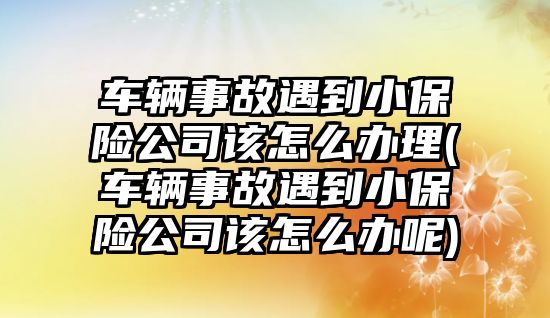 車輛事故遇到小保險公司該怎么辦理(車輛事故遇到小保險公司該怎么辦呢)