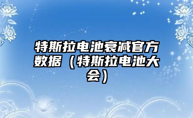 特斯拉電池衰減官方數據（特斯拉電池大會）