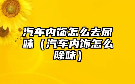 汽車內飾怎么去尿味（汽車內飾怎么除味）