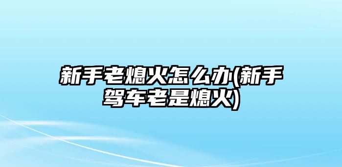 新手老熄火怎么辦(新手駕車老是熄火)