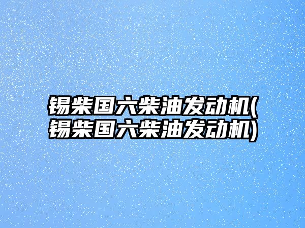 錫柴國六柴油發(fā)動(dòng)機(jī)(錫柴國六柴油發(fā)動(dòng)機(jī))