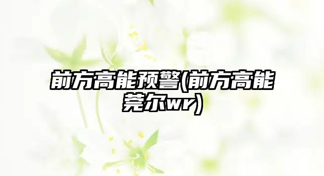 前方高能預(yù)警(前方高能莞爾wr)