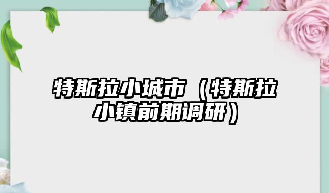 特斯拉小城市（特斯拉小鎮(zhèn)前期調(diào)研）