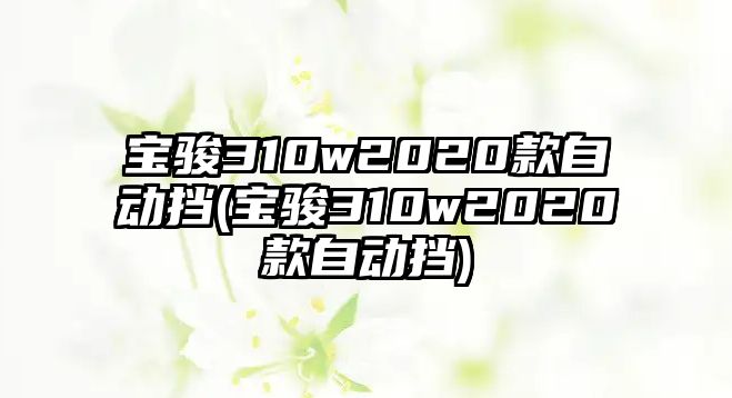 寶駿310w2020款自動擋(寶駿310w2020款自動擋)