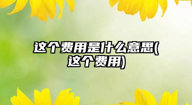 這個費用是什么意思(這個費用)