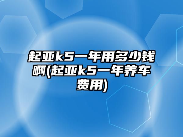 起亞k5一年用多少錢啊(起亞k5一年養(yǎng)車費用)