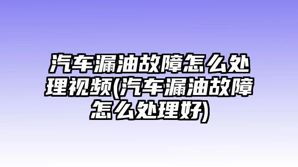 汽車漏油故障怎么處理視頻(汽車漏油故障怎么處理好)