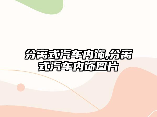 分離式汽車內(nèi)飾,分離式汽車內(nèi)飾圖片