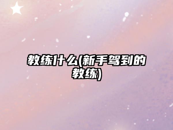 教練什么(新手駕到的教練)