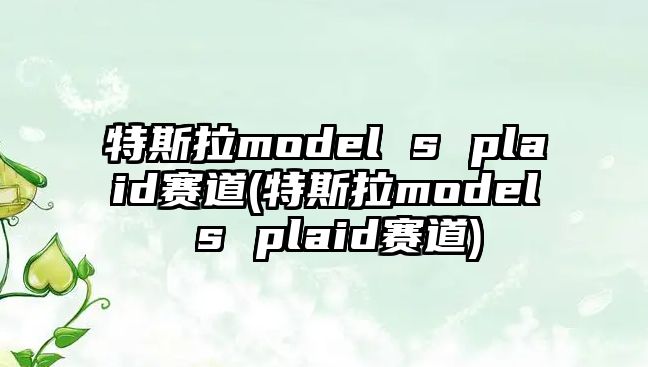 特斯拉model s plaid賽道(特斯拉model s plaid賽道)