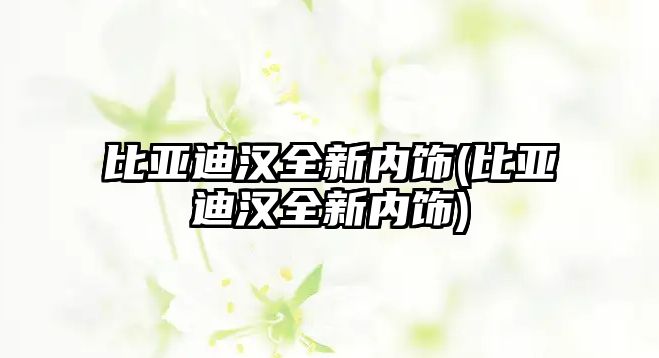 比亞迪漢全新內(nèi)飾(比亞迪漢全新內(nèi)飾)