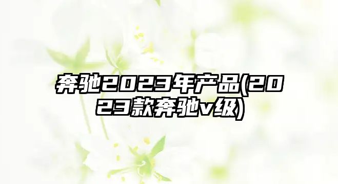 奔馳2023年產(chǎn)品(2023款奔馳v級(jí))