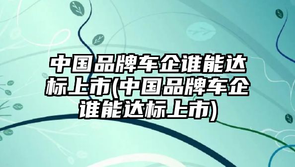 中國品牌車企誰能達標上市(中國品牌車企誰能達標上市)