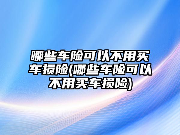 哪些車險(xiǎn)可以不用買車損險(xiǎn)(哪些車險(xiǎn)可以不用買車損險(xiǎn))