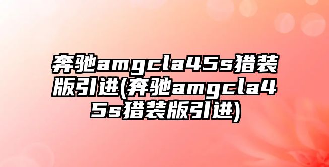 奔馳amgcla45s獵裝版引進(jìn)(奔馳amgcla45s獵裝版引進(jìn))