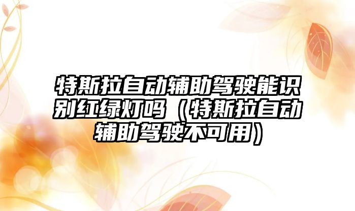 特斯拉自動輔助駕駛能識別紅綠燈嗎（特斯拉自動輔助駕駛不可用）