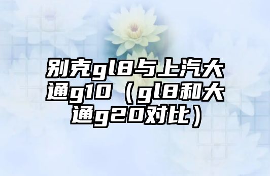 別克gl8與上汽大通g10（gl8和大通g20對比）