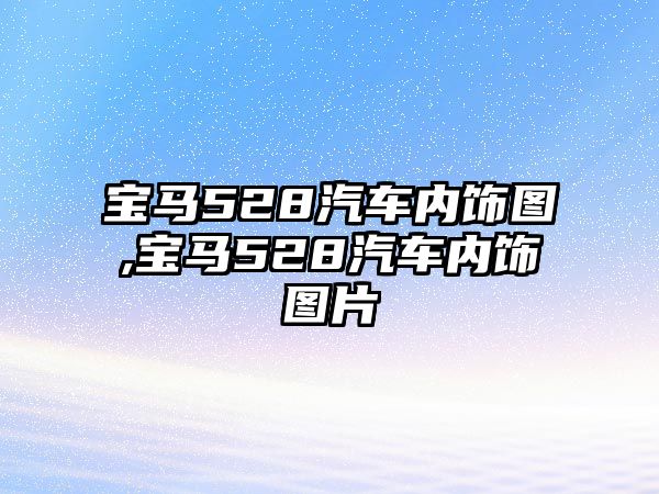 寶馬528汽車內(nèi)飾圖,寶馬528汽車內(nèi)飾圖片