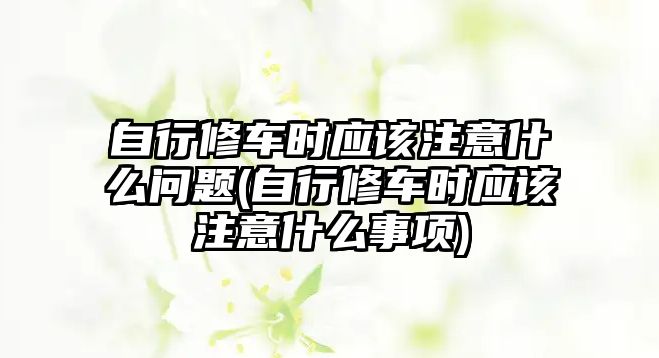 自行修車時應(yīng)該注意什么問題(自行修車時應(yīng)該注意什么事項)