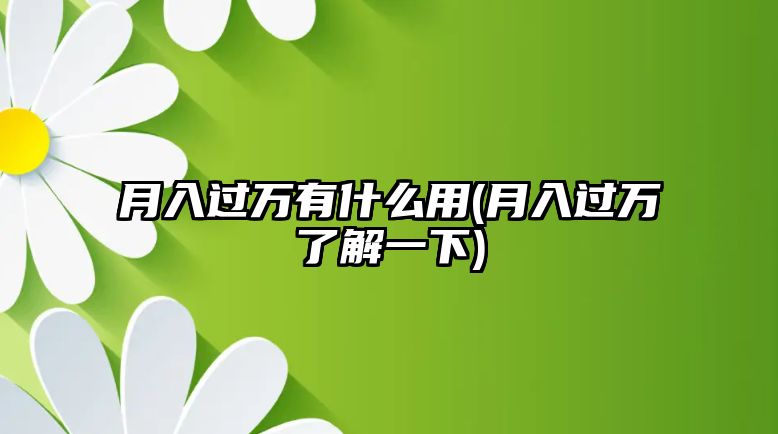 月入過(guò)萬(wàn)有什么用(月入過(guò)萬(wàn)了解一下)