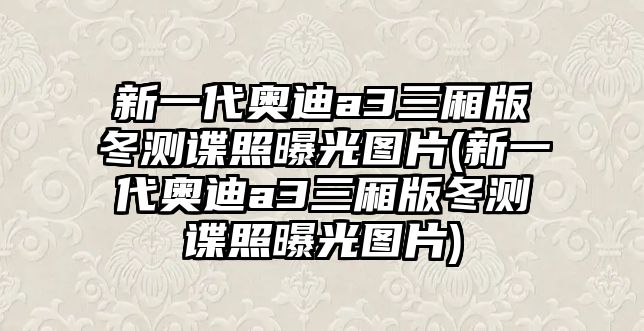 新一代奧迪a3三廂版冬測諜照曝光圖片(新一代奧迪a3三廂版冬測諜照曝光圖片)