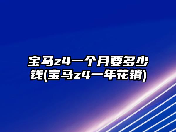 寶馬z4一個(gè)月要多少錢(寶馬z4一年花銷)