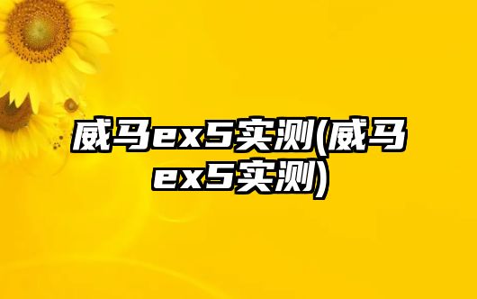 威馬ex5實(shí)測(威馬ex5實(shí)測)