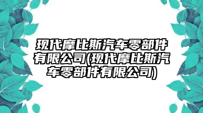 現(xiàn)代摩比斯汽車零部件有限公司(現(xiàn)代摩比斯汽車零部件有限公司)