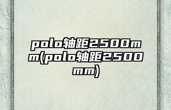 polo軸距2500mm(polo軸距2500mm)