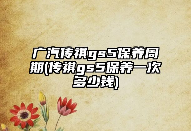 廣汽傳祺gs5保養(yǎng)周期(傳祺gs5保養(yǎng)一次多少錢)