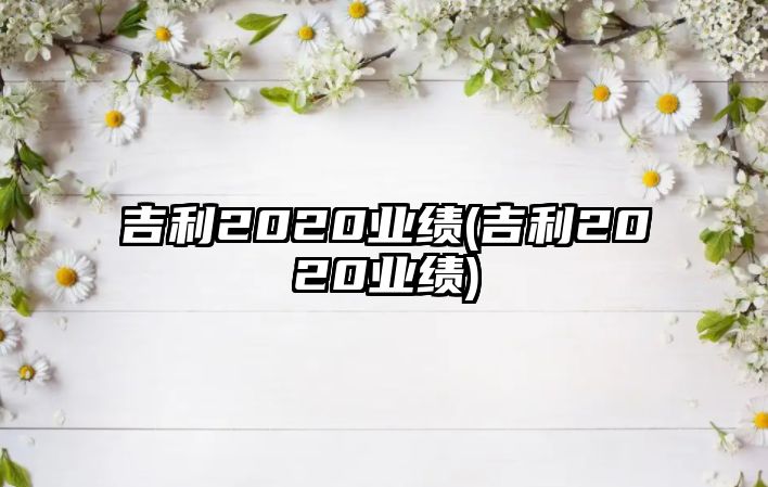 吉利2020業(yè)績(吉利2020業(yè)績)