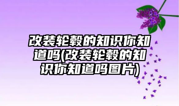 改裝輪轂的知識(shí)你知道嗎(改裝輪轂的知識(shí)你知道嗎圖片)