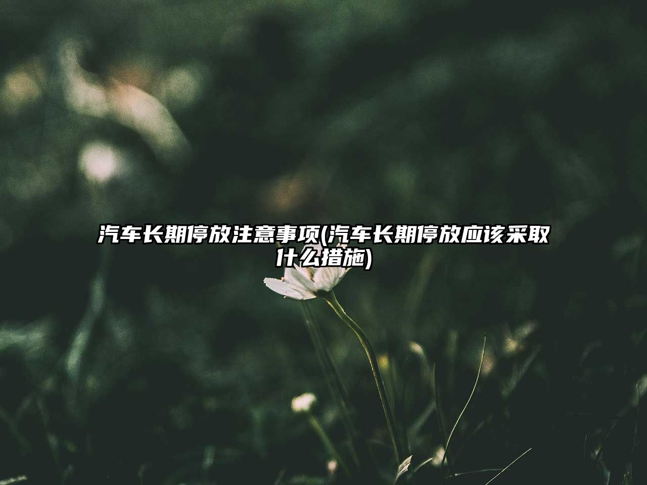 汽車(chē)長(zhǎng)期停放注意事項(xiàng)(汽車(chē)長(zhǎng)期停放應(yīng)該采取什么措施)